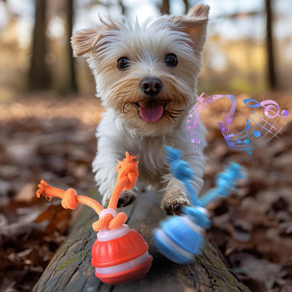 Small dog playing with a colorful toy outdoors