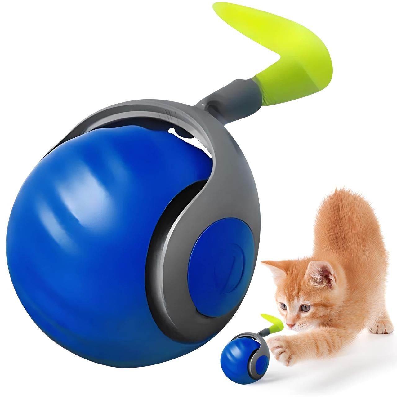 Blue and gray ball-shaped pet toy with a green top, next to a small orange kitten.