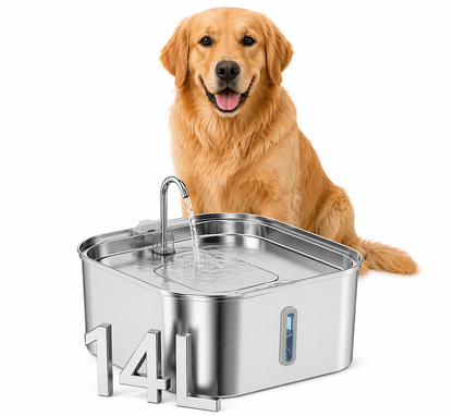 Dog next to a stainless steel pet water fountain on a white background