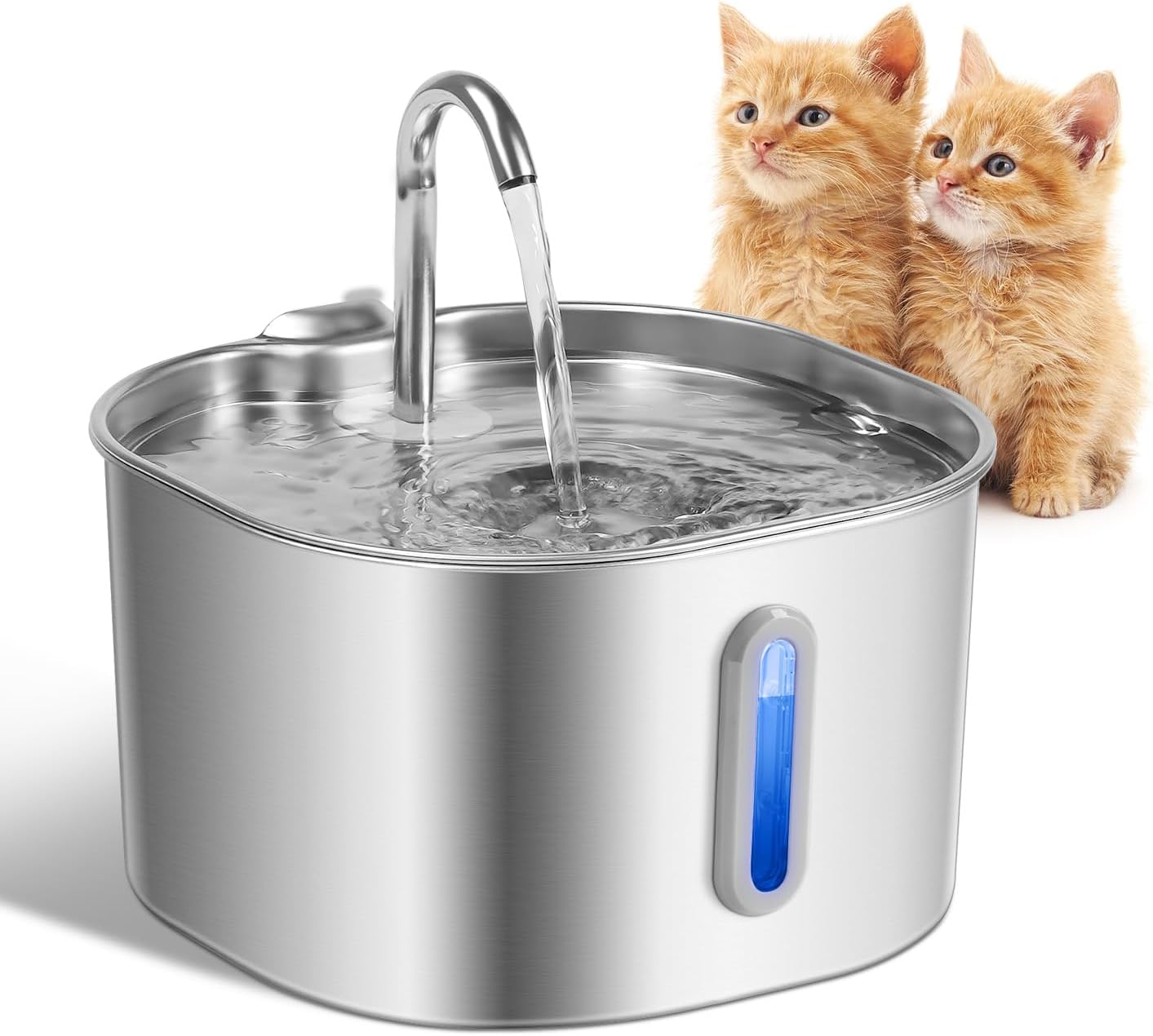 Stainless steel pet water fountain with two orange kittens on a white background