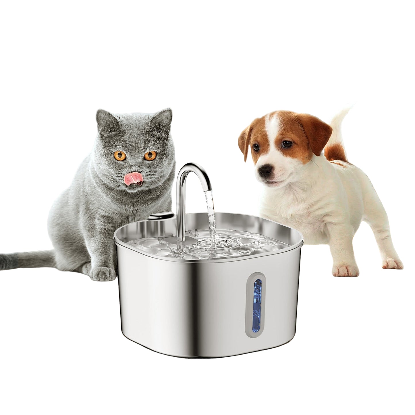 Pet water fountain with a cat and dog around it on a wooden floor.