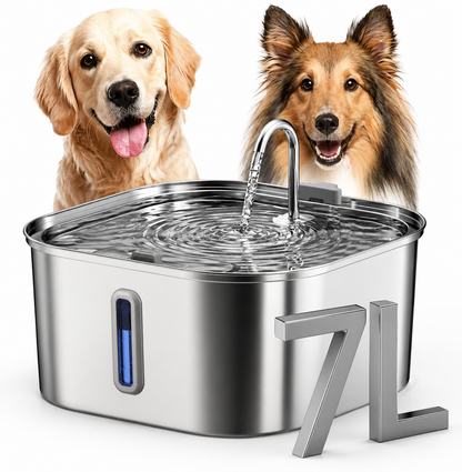 Stainless steel pet water fountain with two dogs in the background