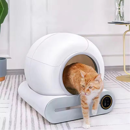 Cat standing next to a modern white pet bed in a room with a plant and small table.