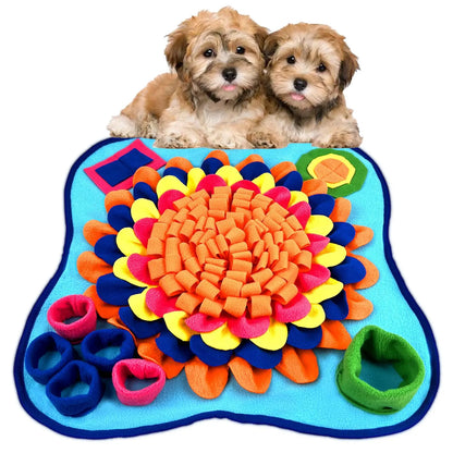 Two puppies sitting on a colorful dog mat with various textures and shapes.