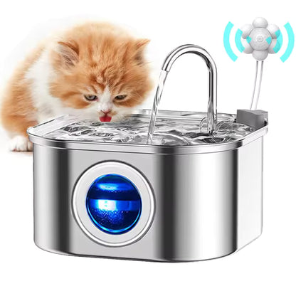 Cat drinking in the water fountain close to the sensor 