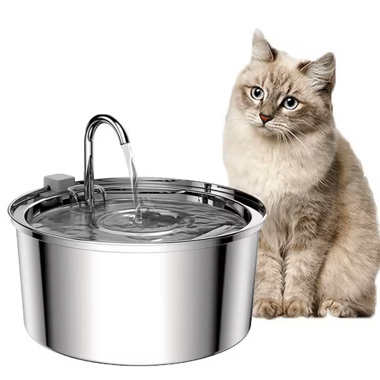 Cat sitting next to a stainless steel pet water fountain on a white background