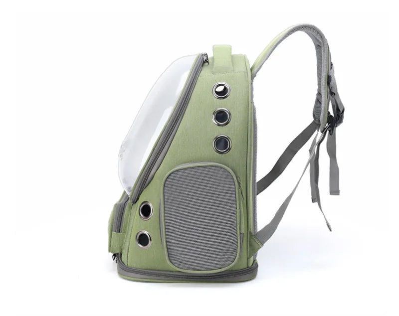Green pet carrier backpack on a white background