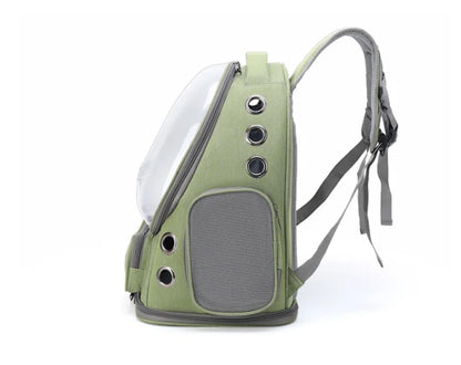 Green pet carrier backpack on a white background
