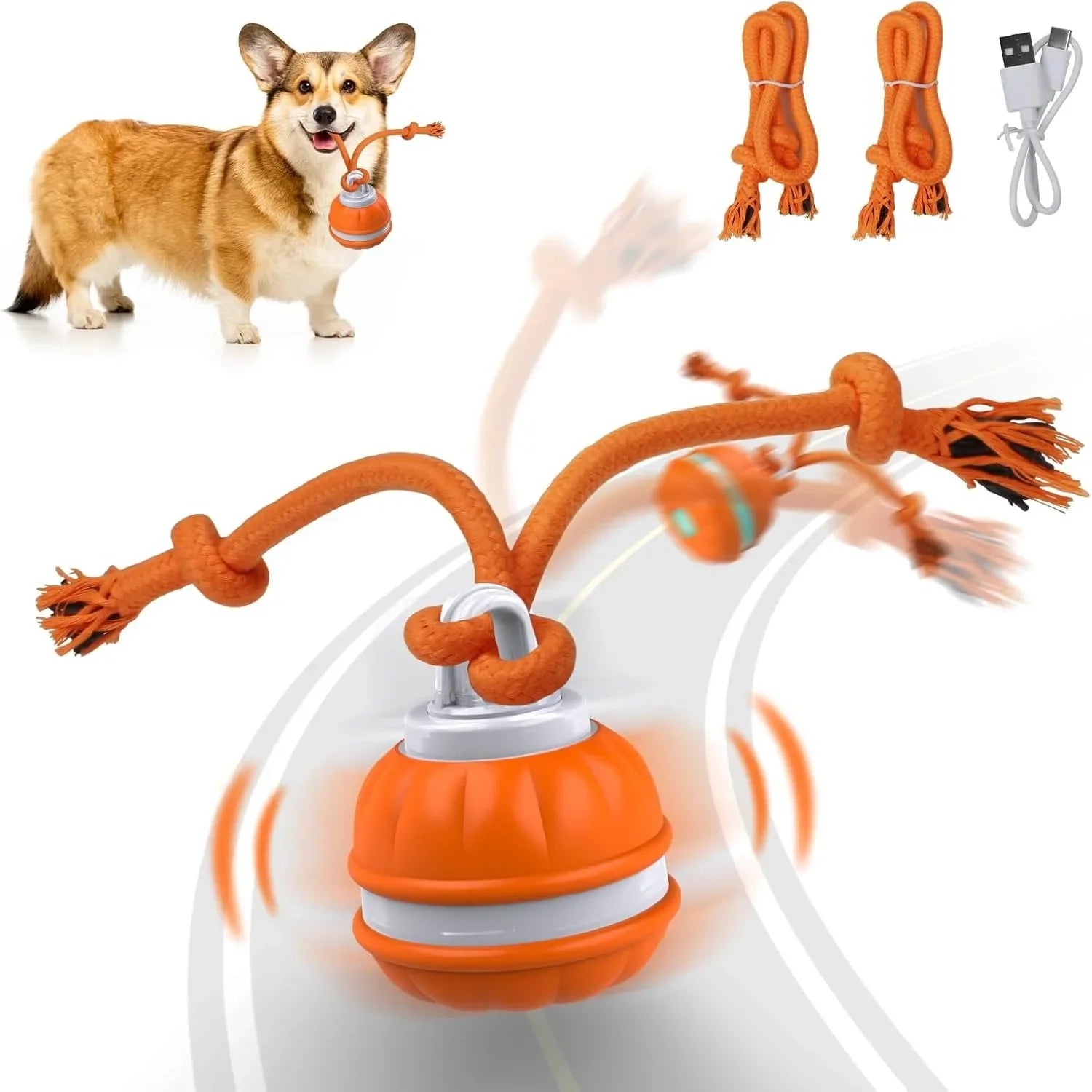 Dog toy with multiple arms and a cable, featuring a dog and additional components on a white background.