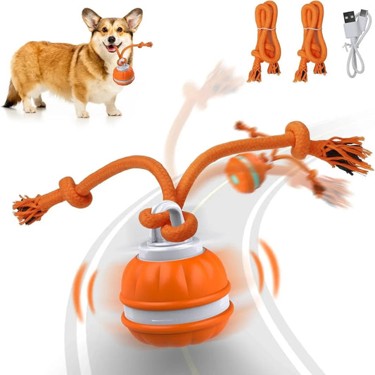Dog toy with multiple arms and a cable, featuring a dog and additional components on a white background.