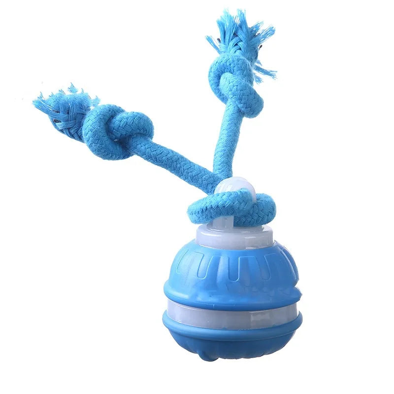 Blue dog toy with rope and ball on a white background
