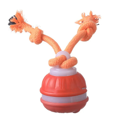 Dog toy with a red base and orange rope on a white background