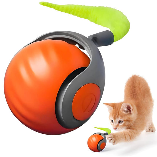 Orange and gray ball with green top, cat toy, and a kitten playing with it on a white background